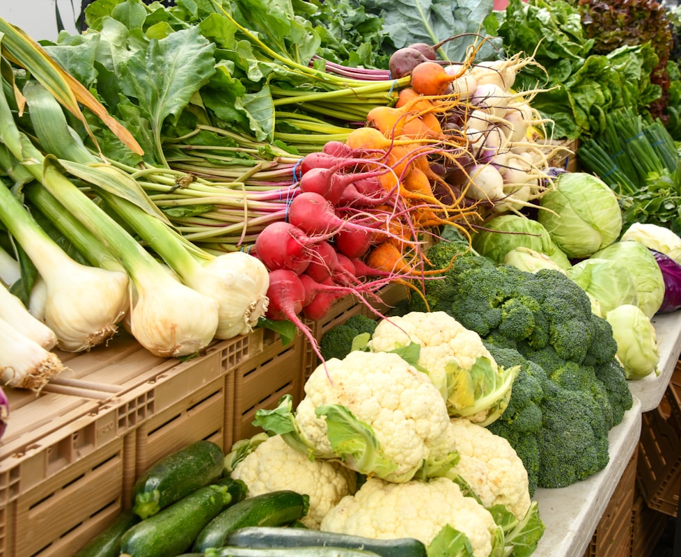 Healthy balanced meal with vegetables, proteins, and whole grains